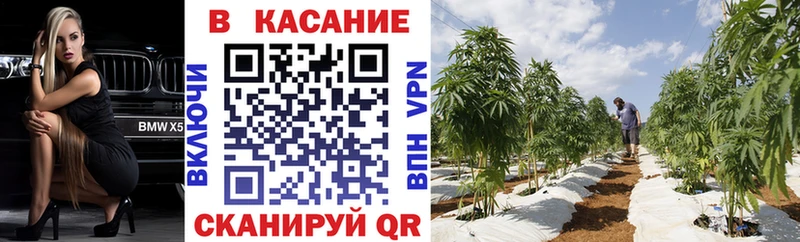 Где купить наркотики Астрахань Alpha-PVP  Канабис  Мефедрон  Гашиш 