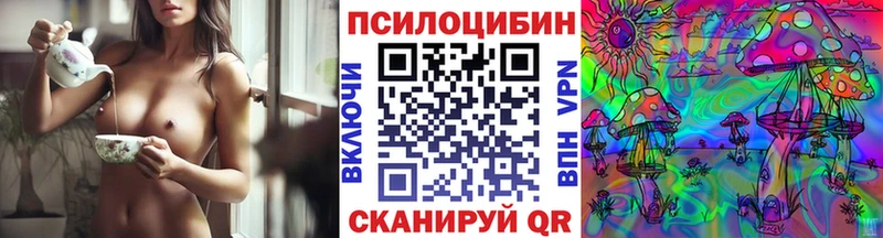 продажа наркотиков  Астрахань  Галлюциногенные грибы Psilocybe 